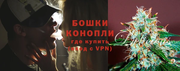 гашик Арсеньев