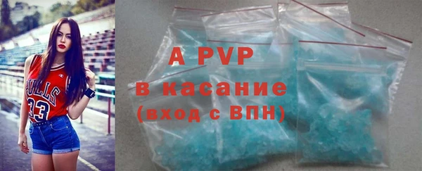 гашик Арсеньев