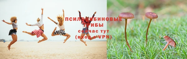 гашик Арсеньев