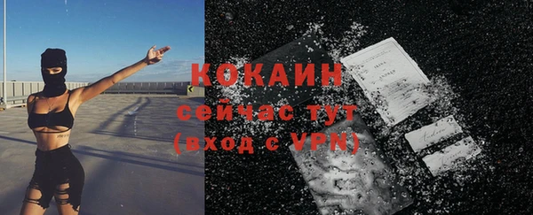 гашик Арсеньев