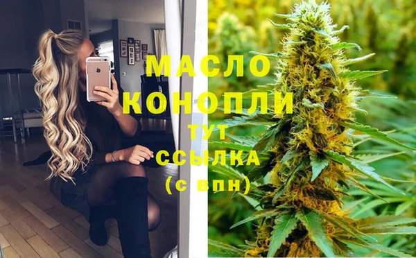 гашик Арсеньев
