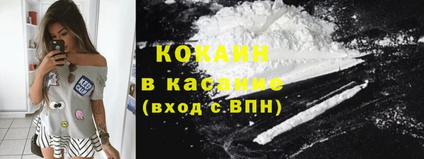 гашик Арсеньев