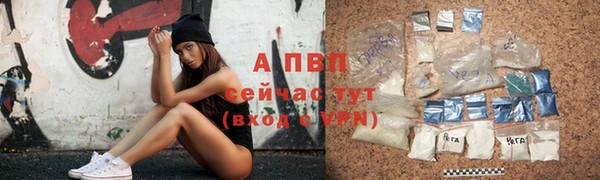 гашик Арсеньев