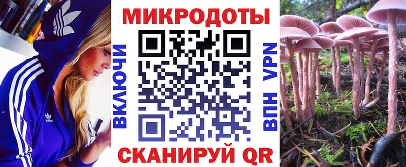 Купить  Артёмовский  Галлюциногенные грибы Cubensis 